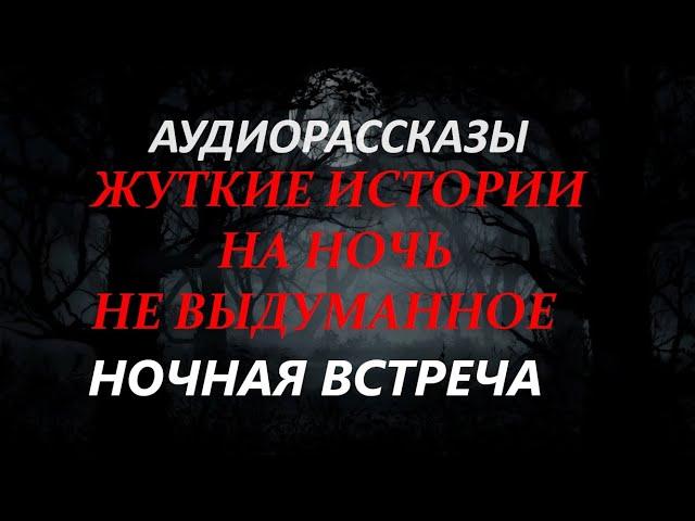 ЖУТКИЕ ИСТОРИИ НА НОЧЬ-НОЧНАЯ ВСТРЕЧА