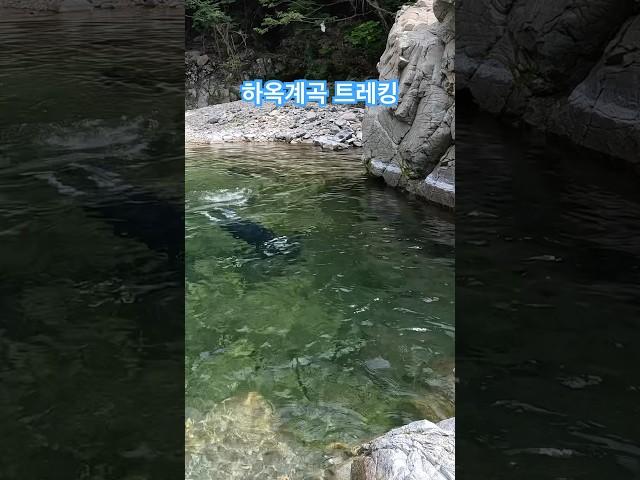 하옥계곡 트레킹. #하옥계곡 #옥계계곡 #계곡트레킹
