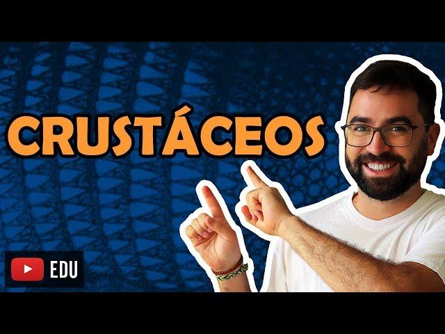 Crustáceos (Artrópodes: Parte 2) - Aula 21 - Módulo VI: Zoologia | Prof. Guilherme