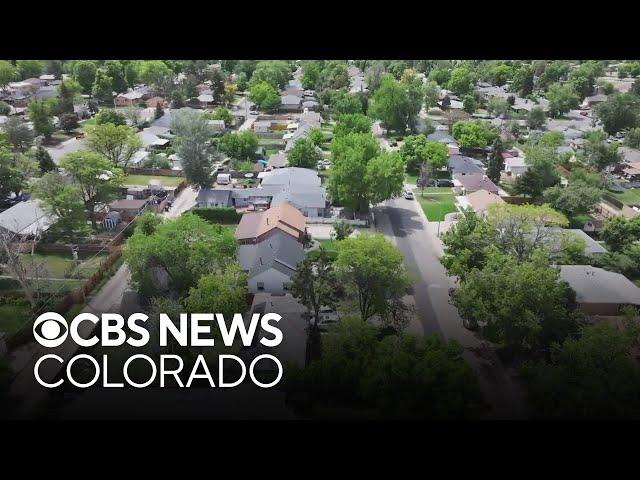 Landlord summoned to court for "chronic violator property" in Colorado