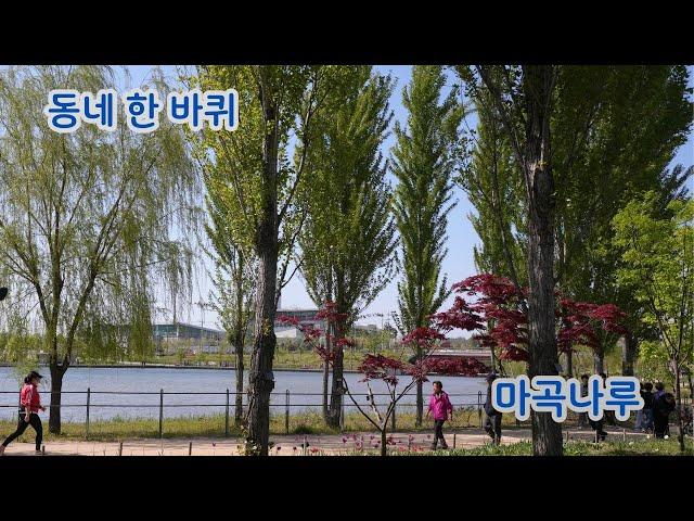 "아주 멀리까지 가보자” 바람이 속삭였다.  달콤한 유혹에 이리저리 흔들거려도 땅에 박힌 뿌리를 떼어 낼 수는 없다.