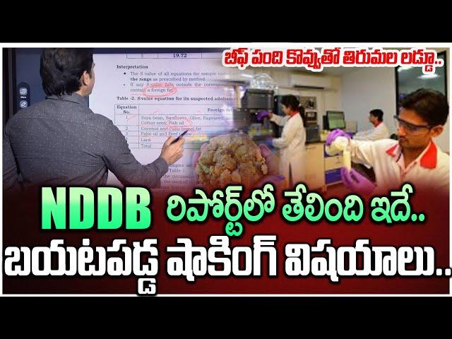 SumanTV Chief Editor Keshav Analysis On Tirupati Ghee NDDB CALF Test Report|Tirumala Laddu #sumantv