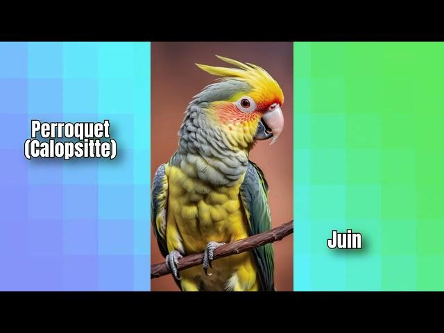 Ton Animal de Compagnie Idéal Selon Ton Mois