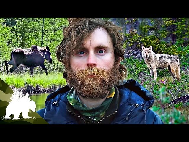 Surviving Alone Across the Arctic: One Man Against the Extreme North | Survival Documentary