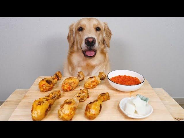 Dog Reviews fried chicken [ASMR] /  love USA