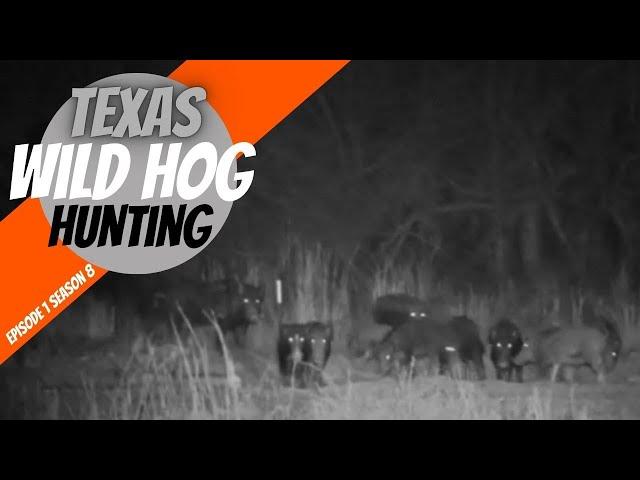 Texas Wild Hog Hunting with Medio Creek Thermal Ep1 S8