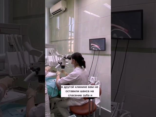 Спасти зуб! Миссия выполнима?