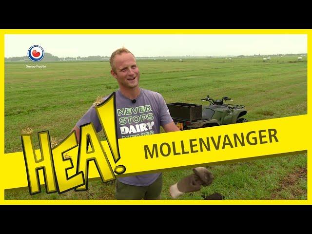 Geen mol is veilig voor Klaas | HEA!