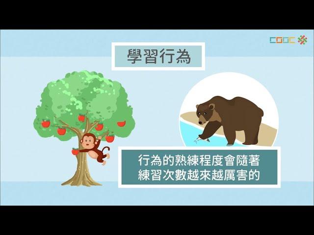 108新課綱｜七上生物｜【討論】動物的行為