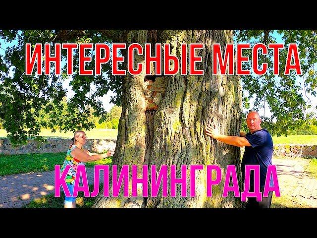 Интересные места Калининграда