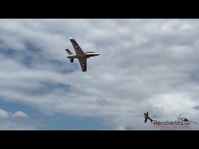 Arrows-RC Viper EDF | Aerobertics RC planes