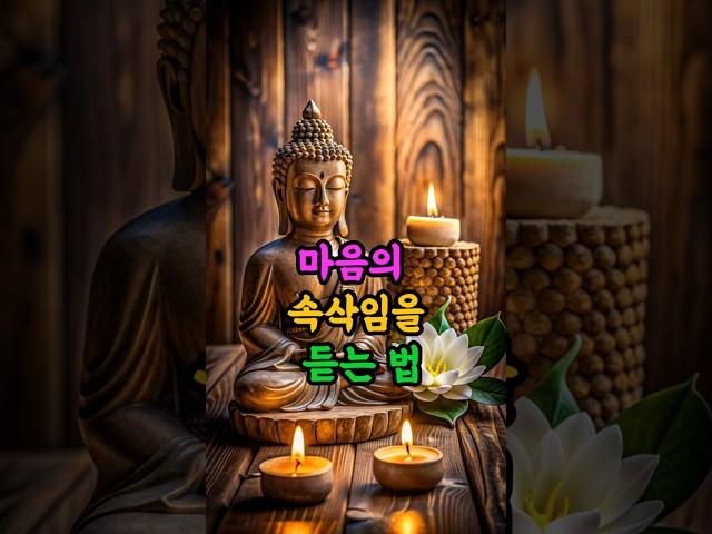 마음이 조용히 무너질 때#불교명언 #마음챙김 #감정회복 #부처님말씀 #내면의평화#부처님말씀 #마음공부