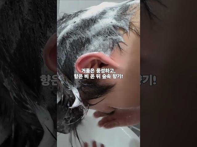 머리 빠지는 사람? 일단 이거 사 봐 #hair #탈모샴푸 #탈모완화샴푸
