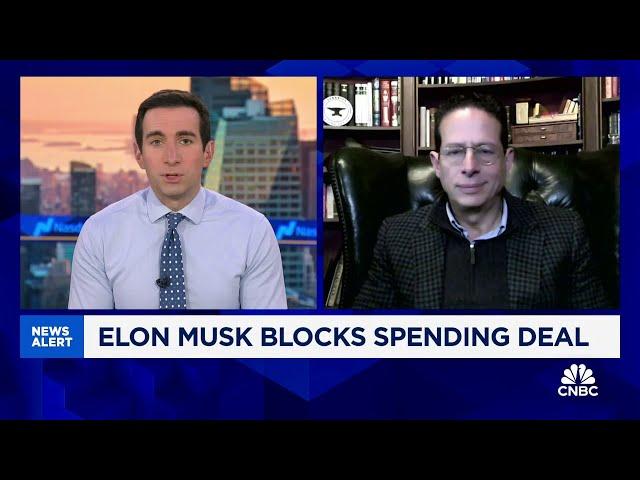 Surprised how much influence Elon Musk and Trump already have on government: Tenacity's Ben Narasin