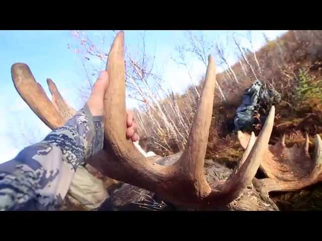 GIANT 74" Alaska Moose Hunt - "15 Year Dream"