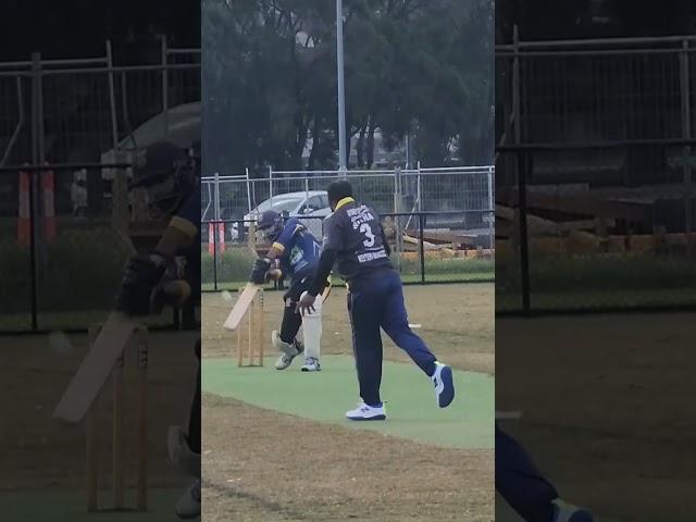 Slashed it for a six over point #uniqueshots #SydneyCommunityCricket #cricketshorts #ytshorts #desi