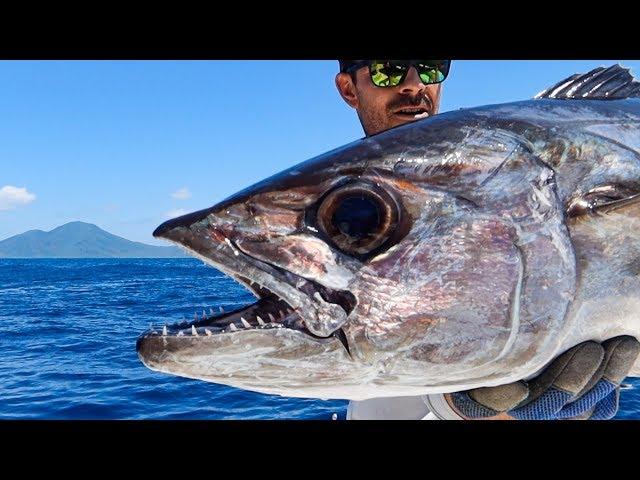 Dogtooth Tuna in Vanuatu!