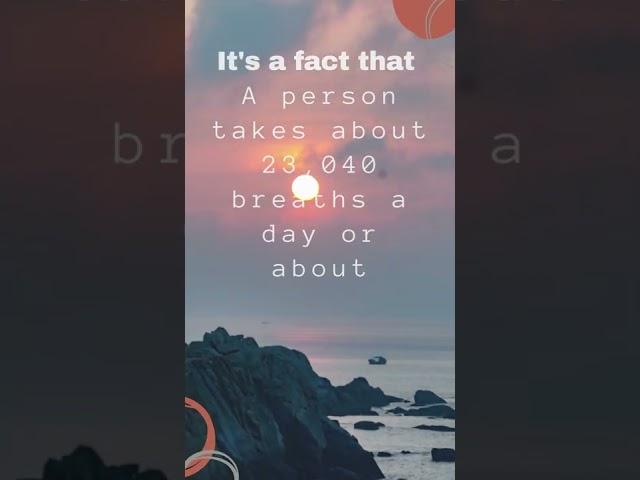 Amazing Fact about Human body | Fact |Factsopedia | #shorts #facts