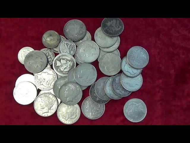 Huge Haul Of Silver Dollars! What Did I get? #coincollecting #junksilver #morgandollar #peacedollar