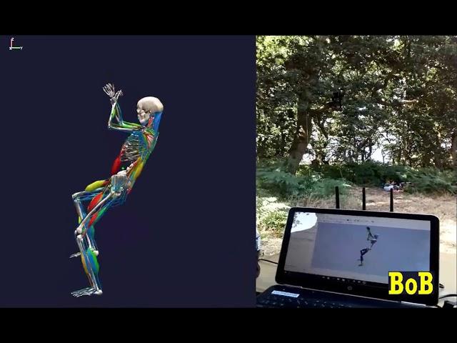 Biomechanics up a tree