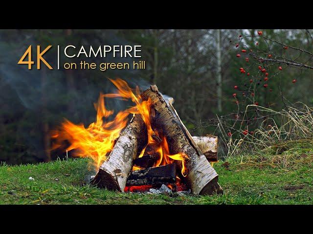 Campfire on a Green Hill ️ Authentic Sounds & Natural Relaxation
