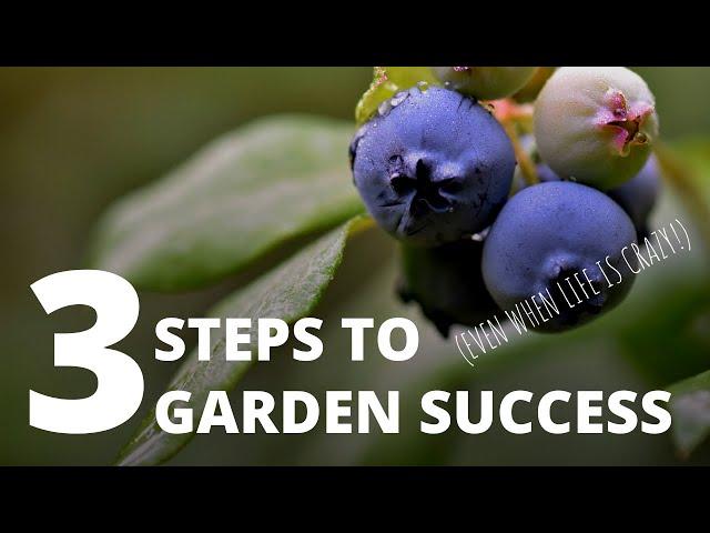 3 Steps to Garden Success (Even When Life is Crazy)