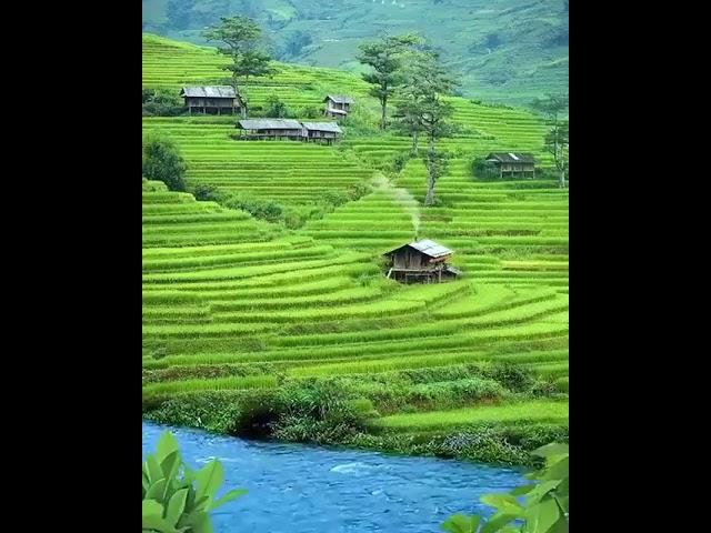 Suasana Pegunungan, Sawah, Dan Sungai Yang Bersih..Alami Meman Indah...