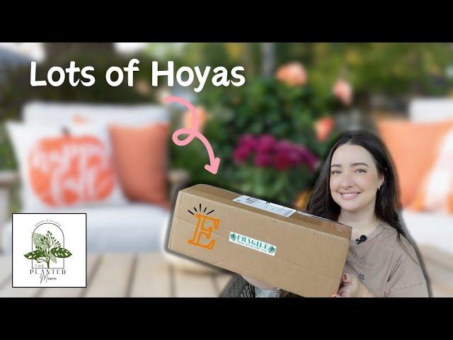 Unboxing from ThePlantedMama on Etsy! | Lots of New Hoyas 