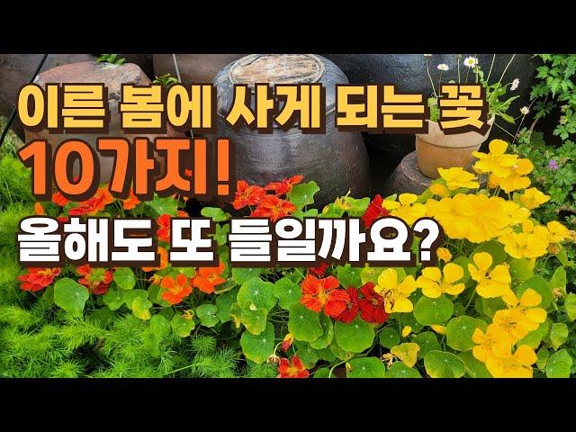 이른 봄에 사게 되는 꽃 10가지! 올해도 또 들일까요?