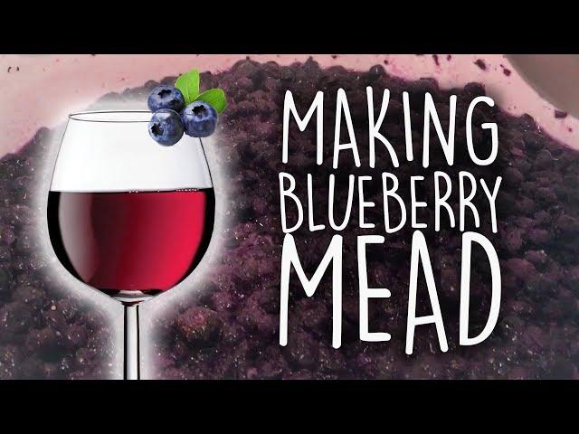 Mead melomel with 20 pounds of blueberries! How-to on making mead at home | Brewin' the Most