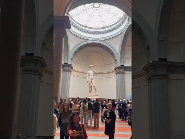 Gallery of the Academy of Florence, Michelangelo's sculpture David, Florence, Italy  #italia