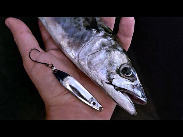 Mackerel Love Metals!  - Mackerel Fishing