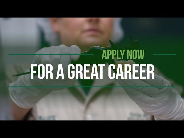 Looking for a Great Career? Join the George's Team!