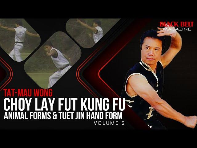 Tat-Mau Wong: Choy Lay Fut Kung Fu (Vol 3) - Animal and Tuet Jin Hand Forms | Black Belt Magazine