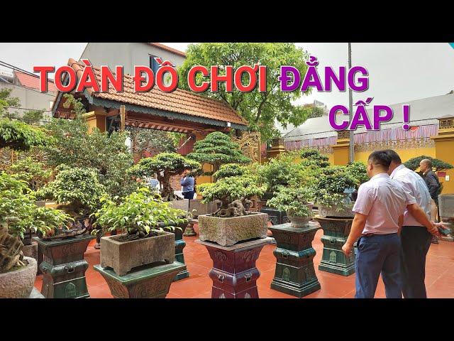 Thăm vườn cây ĐẶC SẮC đầy ắp những BỂ ĐÁ CỔ & CÂY ĐẸP của anh LUYỆN - TIÊN DU - BẮC NINH 2024 .