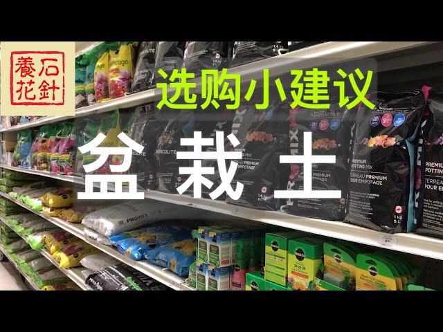 [石针养花]说说商店卖的盆栽土