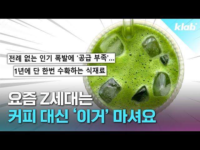 미국에서 난리라는 '초록 음료', 왜 이렇게 인기인지 교민에게 직접 물어봄｜크랩