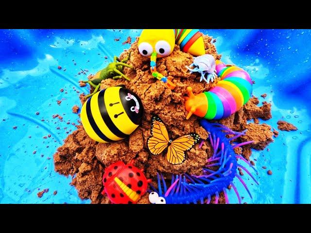 Find Toy Bugs in Sand | Learn Bug Insect Names & Facts for Babies Kids: Butterfly Mosquito Slug