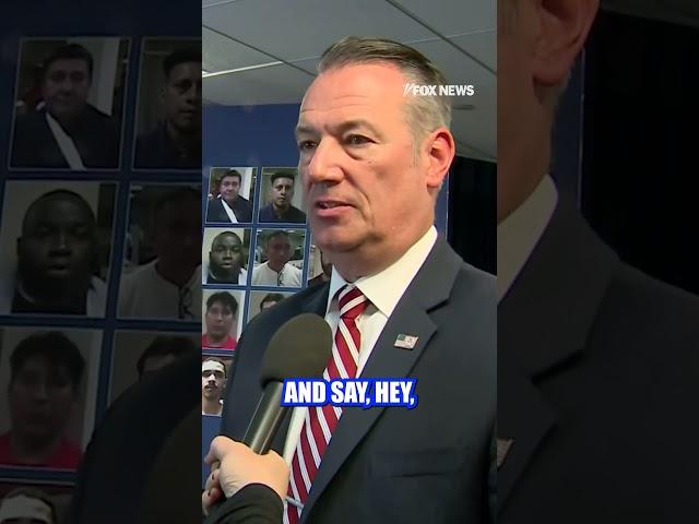 ICE chief blasts blue state #shorts #news #foxnews #ice #us #world #border #crime #immigration