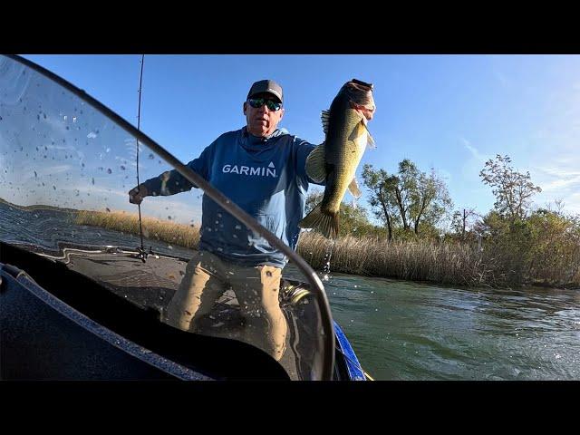 Things You Might Not Know About Bass Fishing