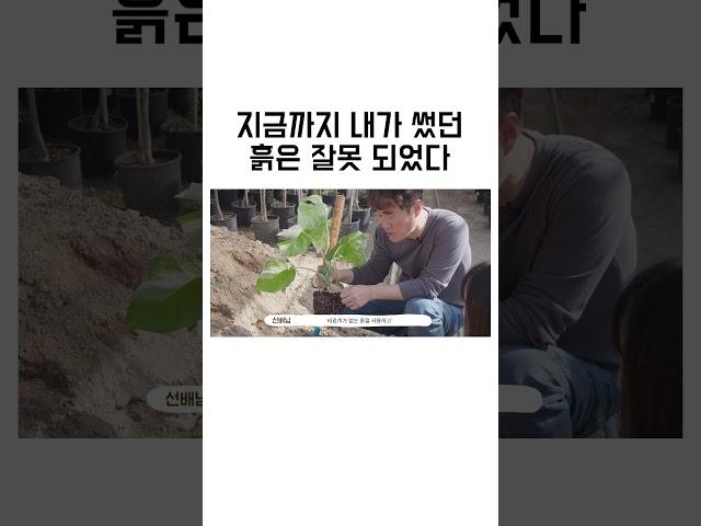 지금까지 내가 준 흙은 잘못 되었다