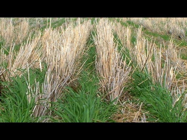 No Till Farming Presented by Tobin No-Till