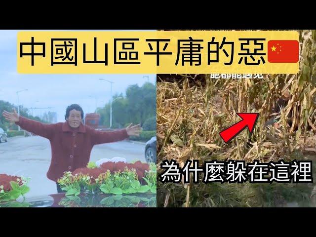 老人為了錢拿命去坑別人，農民為了方便自己把路全部堵死，中國山區農村那些活見鬼的時刻。