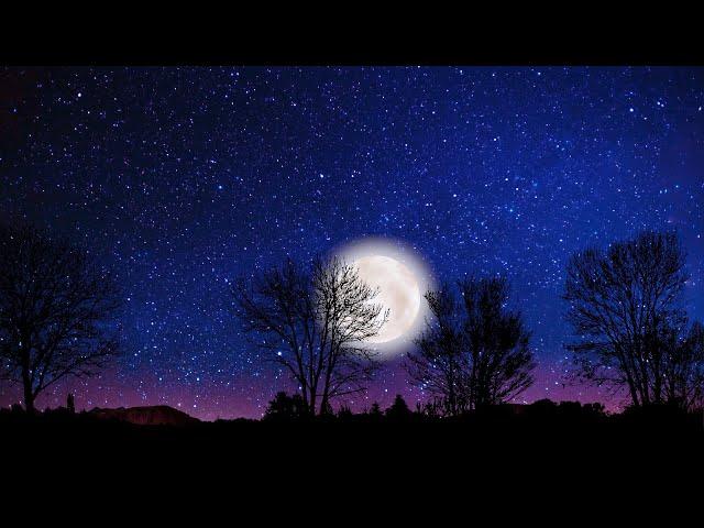 Moonrise & Sky Stars Falling Animation in Night Time-Beautiful Video Background HD