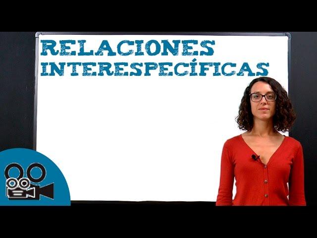 Relaciones interespecíficas