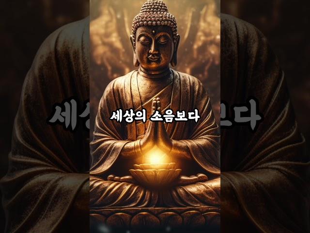 사람에 지칠 땐, 이 말 한마디면 충분해요 #부처님말씀 #명언 #마음공부 #석가모니지혜 #자기수행 #부처님가르침  #석가모니인생조언