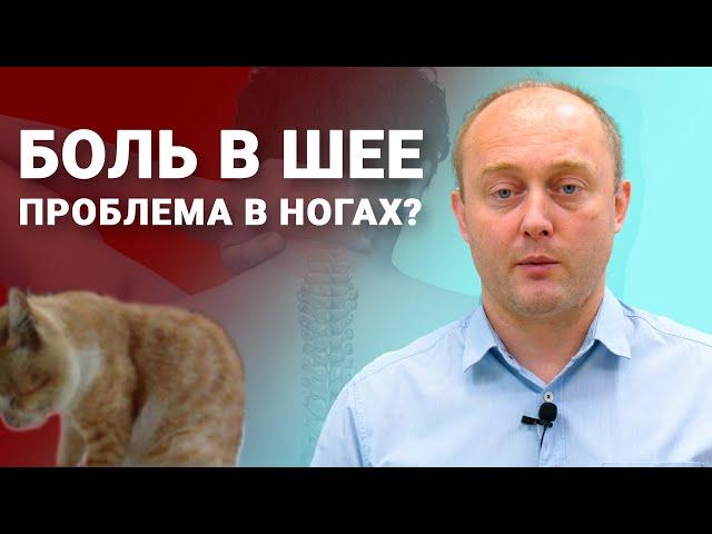 ПОЧЕМУ БОЛИТ ШЕЯ?