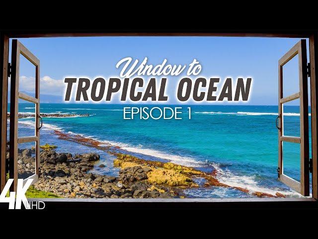 8 HRS Tropical Ocean View + Birds Chirping & Ocean Sounds - 4K Window to Hawaii Scenery - Episode #1