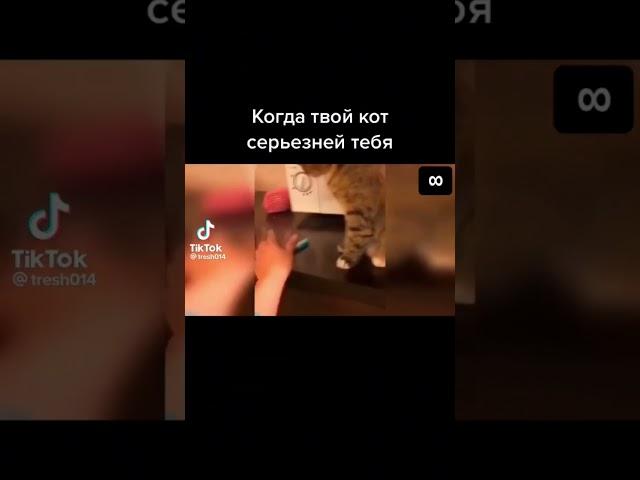 24 января 2023 г.