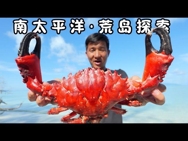 瓦努阿图（荒岛版）第3集：这次有点离谱，明明是挑战荒岛探索，最后演变成了荒岛求生 #抓螃蟹 #潜水 #抓龙虾 #ocean #荒岛探索 #赶海 #underwater